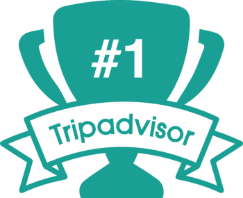 Trip advisor icon