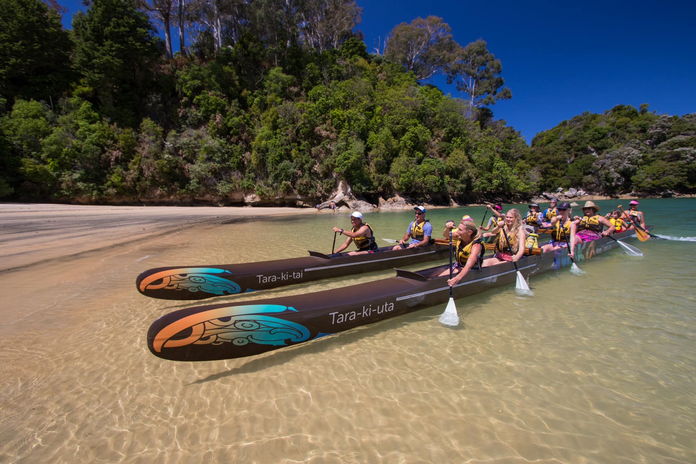 School kids paddling to shore at Kaiteriteri